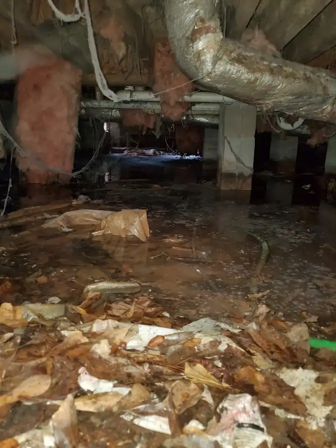 Crawl space flood assessment for Leak Detection & Repair in Wareham